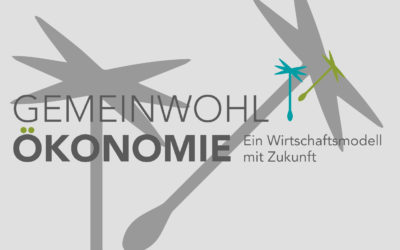 Gemeinwohl-Ökonomie (MwSt-Projekt)